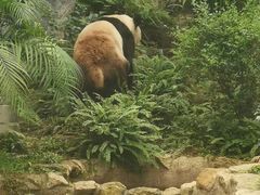 -石排湾郊野公园