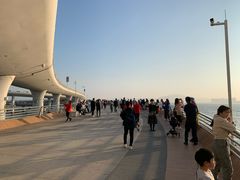 -演武大桥观景平台