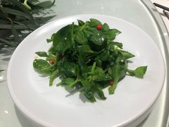 炝炒田七菜-九十九顶毡房(阜石路店)