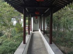 -上海醉白池公园