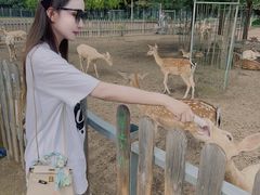 -北京麋鹿生态实验中心