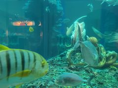 -石林冰雪海洋世界