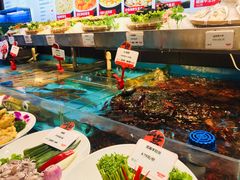 水产区-必点海鲜·鲅鱼水饺(鞍山西道店)