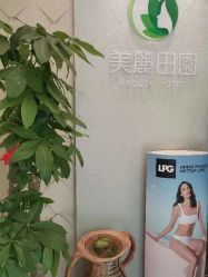 -美丽田园
