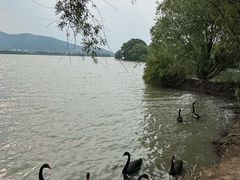 -长兴太湖图影湿地文化园