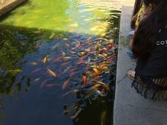 iphone_upload_pic-三亚亚龙湾五号度假别墅酒店