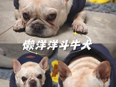 -山姆会员商店(杨桥西路店)