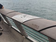-星光大道