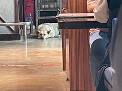 -Cactus墨西哥仙人掌餐厅