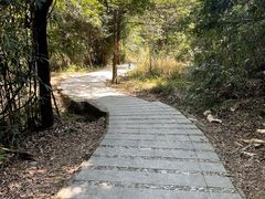 -广州市石门国家森林公园