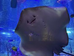 -沈阳海洋探索中心