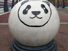 -府河摄影公园