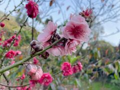 -桃花涧