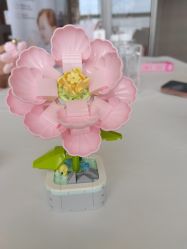 -大美母婴月子专护中心(紫峰店)