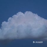 城市向导官#我的必吃榜餐厅 宝子们