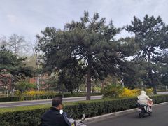 -钓鱼台国宾馆