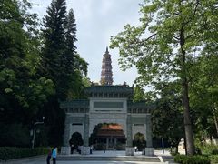 -顺峰山公园