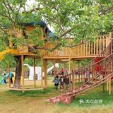 绿野仙踪，放电新去处～