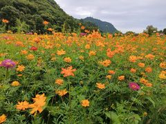 -贵阳市花溪国家城市湿地公园