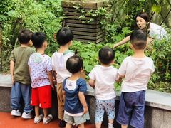 -硅谷蒙学幼儿园