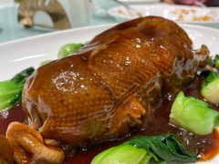 -新吉士·上海菜(浦东LCM置汇旭辉店)