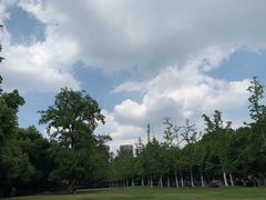 -巢湖姥山岛