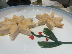 -丁老爷子苏香圆