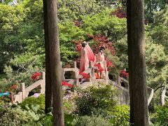 -上海醉白池公园