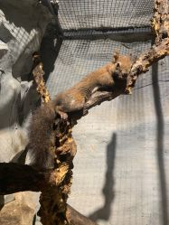 -Zoolung Zoolung动物主题公园(海信广场店)