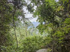 -火炉山森林公园