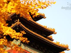 -故宫博物院(故宫)