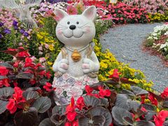 -上海鲜花港