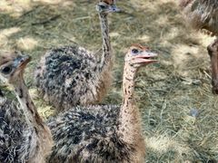 -水上乐园·欢乐世界