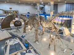 -国家自然博物馆