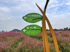 -径山花海