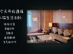 -西安赛瑞喜来登大酒店