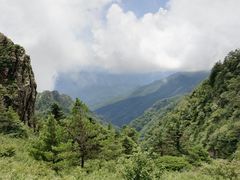 -牛背梁国家森林公园