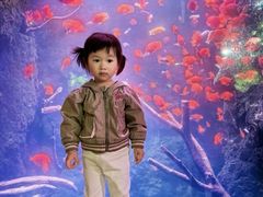 -南昌海洋公园