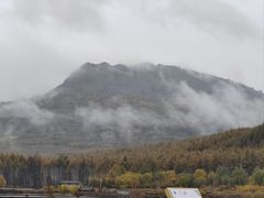 -洮儿河国家湿地公园