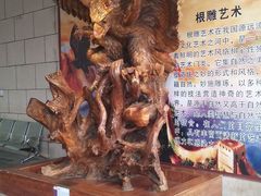 -陕西自然博物馆