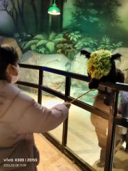 点击看大图 -酷嗒动物文化乐园(cutezoo西溪乐天城店)