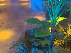 -浅深(北京北四环精品店)