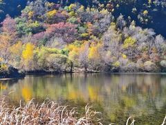 -叠溪松坪沟景区