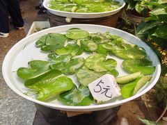 -双季花艺园艺市场(浦东店)