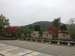 -香雪海
