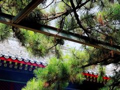 -红螺寺