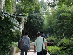 -上海市保健医疗中心