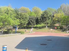 -莫子山公园