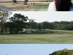 -盘龙城国家考古遗址公园