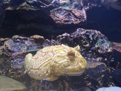 -海南热带野生动植物园